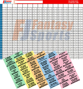Fantasy Basketball: POSTER Draft Boards + Player Labels